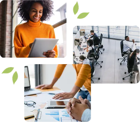 Roles We Specialise In